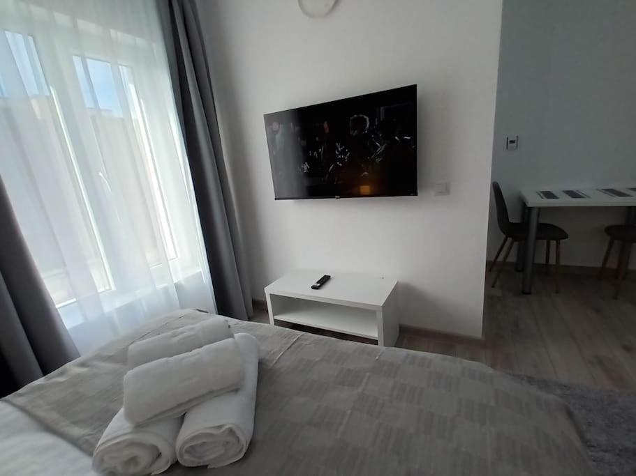 Old Town Studio 2 Apartment Nr 4 Baia Mare Exterior foto