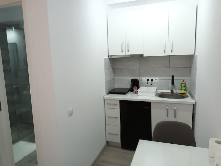 Old Town Studio 2 Apartment Nr 4 Baia Mare Exterior foto